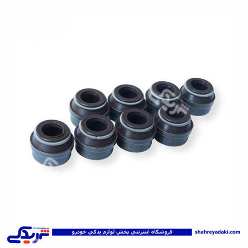 لاستیک سوپاپ پیکان VITON اورجینال دینا پارت 1102126